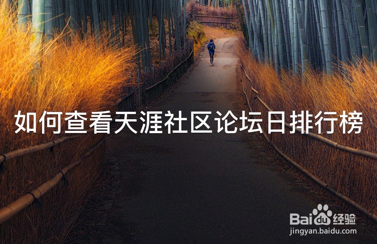如何查看天涯社区论坛日排行榜