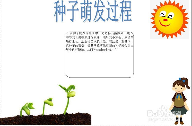 种子萌发过程的手抄报