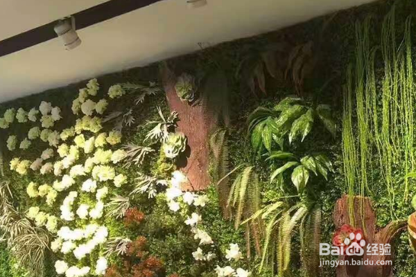 如何让植物墙更美