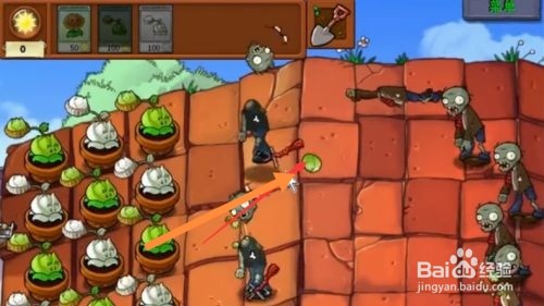 植物大战僵尸蹦蹦舞会攻略