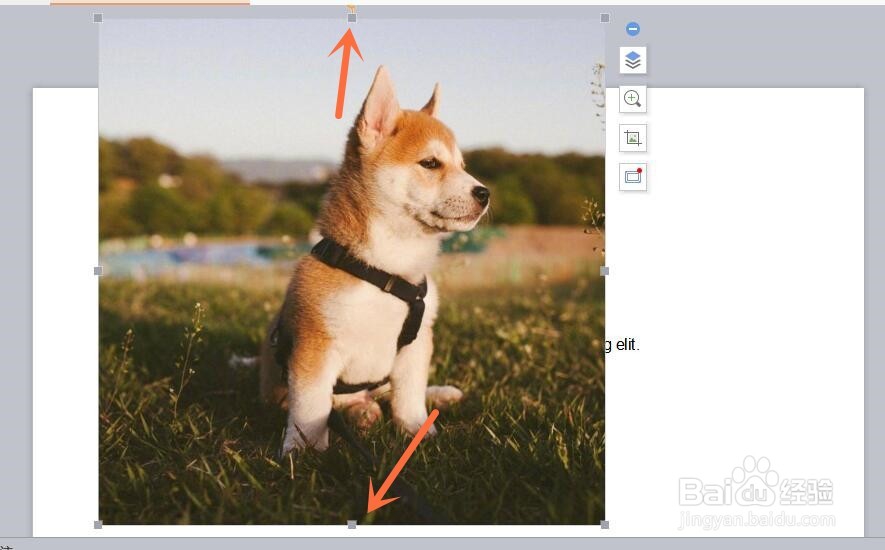 怎么把PPT图片放大到幻灯片大小？