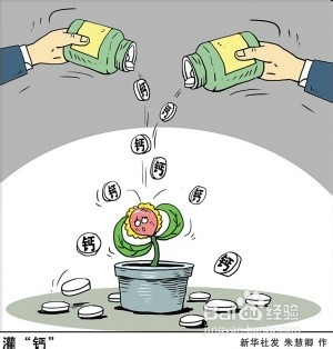中老年补钙产品