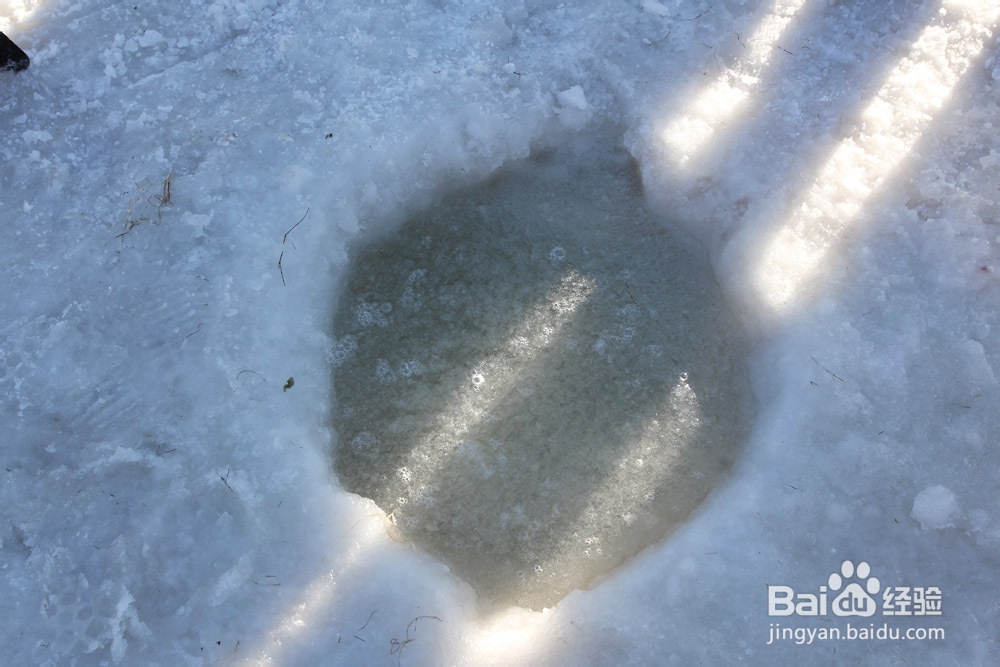 【内蒙古】达里湖冬捕节旅游攻略