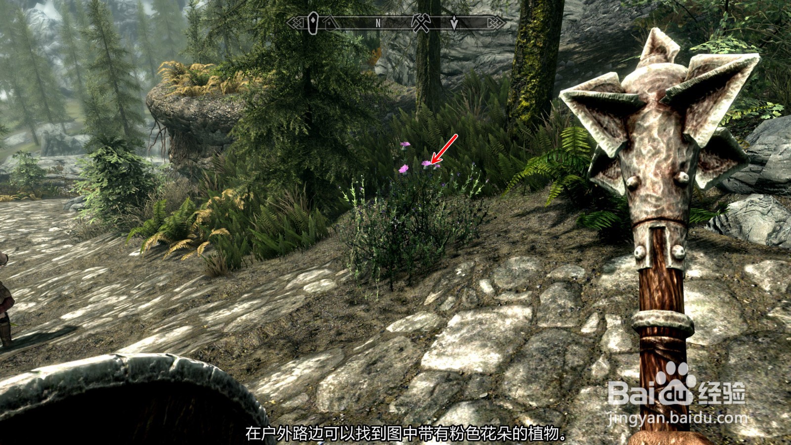 上古卷轴5天际特别版怎么收集获得蓟草