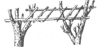 野外庇护所的搭建