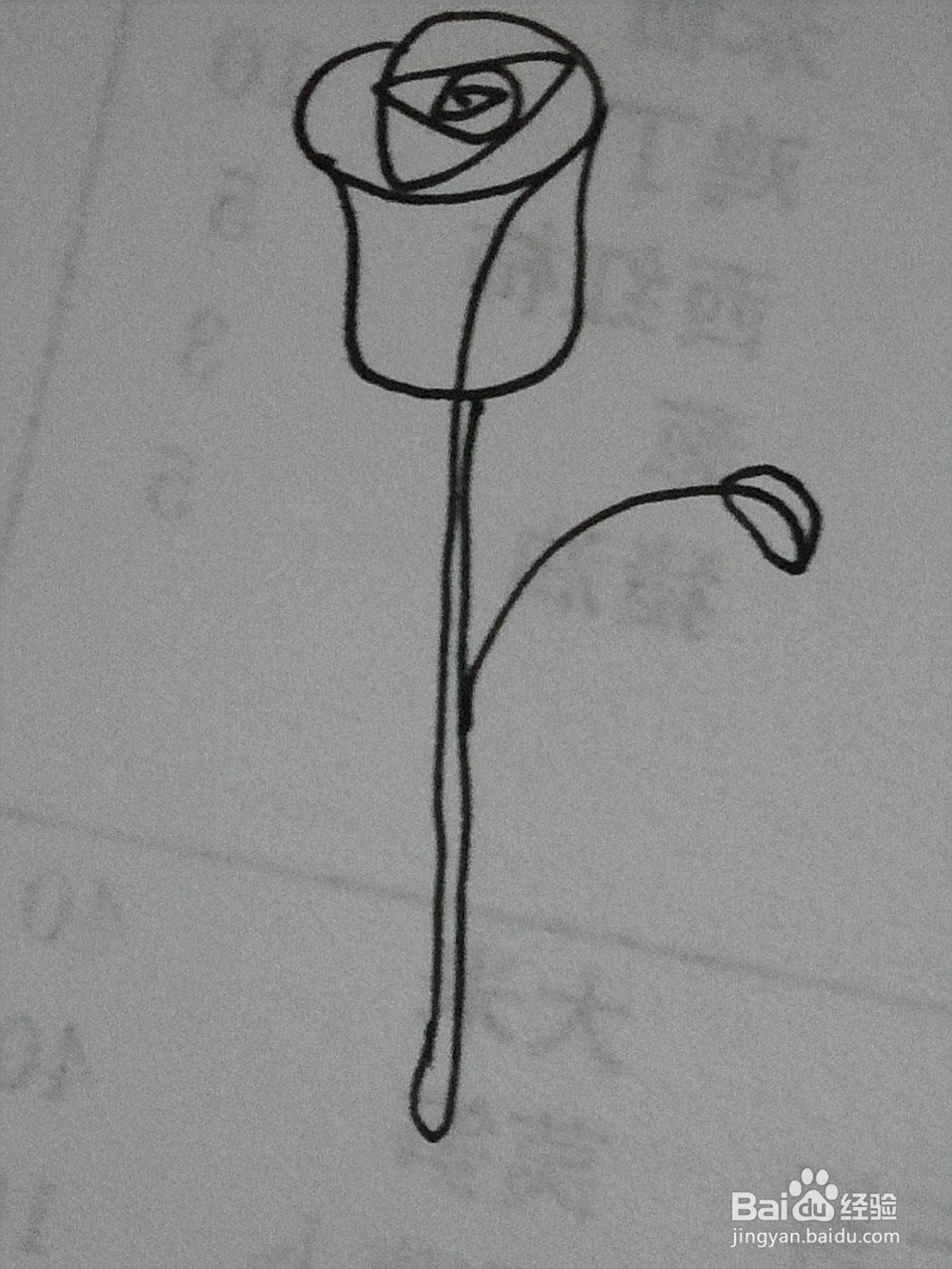 简笔画一枝玫瑰花的画法