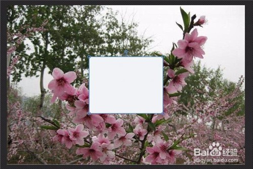 用光影魔术手如何将图片变淡