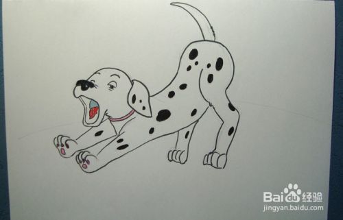 彩色简笔画可爱的小斑点狗