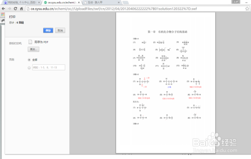 100 Chrome Swf 保存