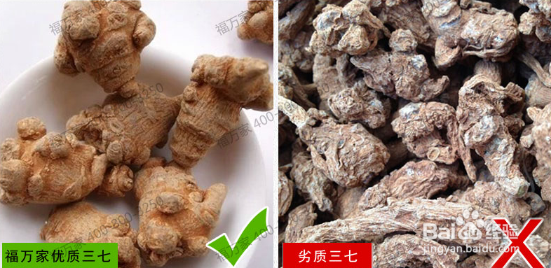 怎么挑选三七？购买三七时要注意哪些细节！