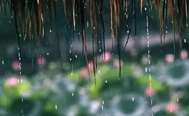 梅雨影响范围在哪些地方[在中国]