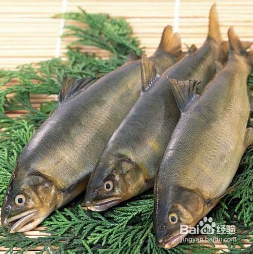 解决高血压的治疗与饮食问题