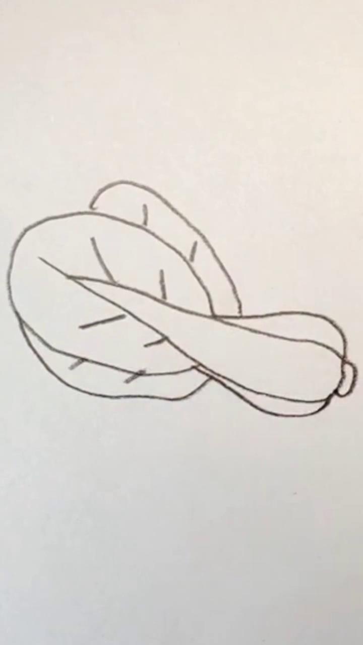 育儿简笔画白菜怎么画