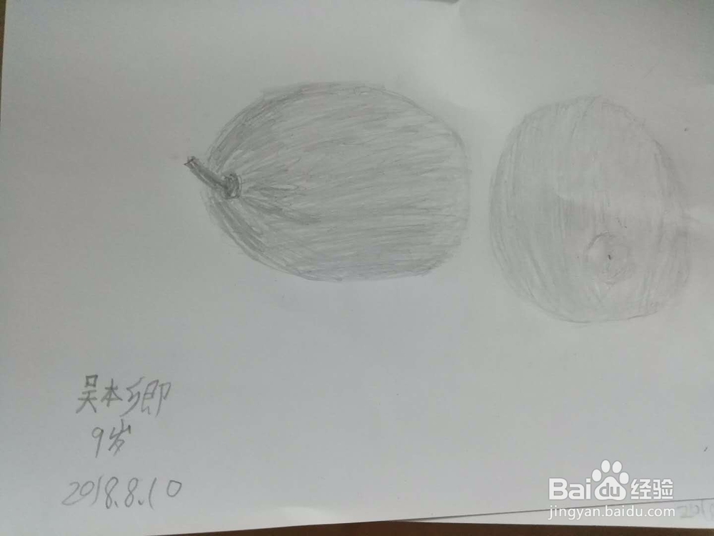 素描静物蔬菜水果——西瓜怎么画