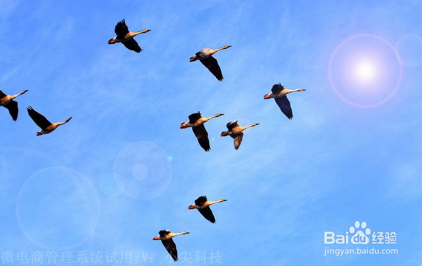 怎样做好微商必知四要素