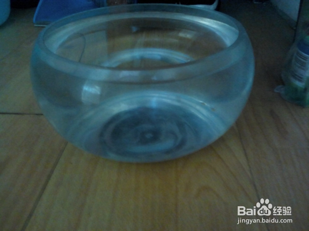 新手养鱼应该注意什么
