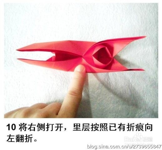 纸蝴蝶之折纸凤尾蝶（图解）