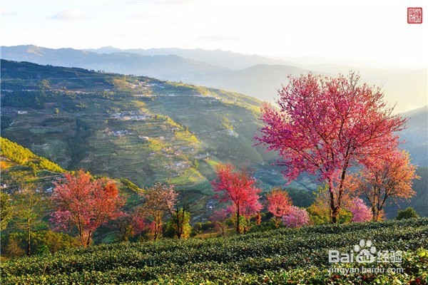 中国最佳旅行时间表攻略—你的下半年都被包了