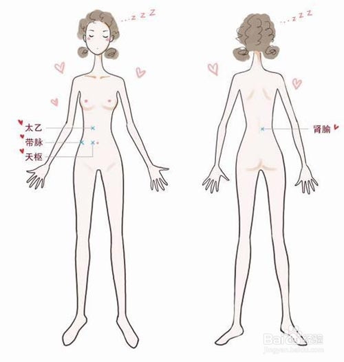 抓带脉之减肥瘦腰加调理大姨妈