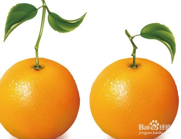 用橙子美容护肤的小窍门