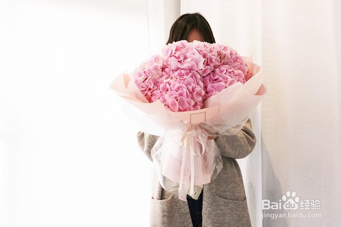 早春花作，如何搭配更出彩？