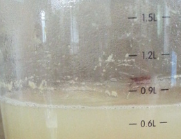 小米南瓜粥的做法