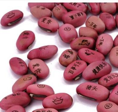 上面刻字的豆豆该怎么种