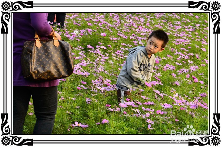 怎样才能获得成功?