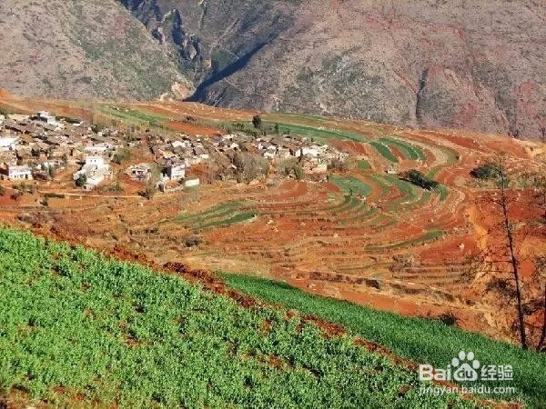 老司机带路,到东川红土地那些犄角旮旯的拍摄点