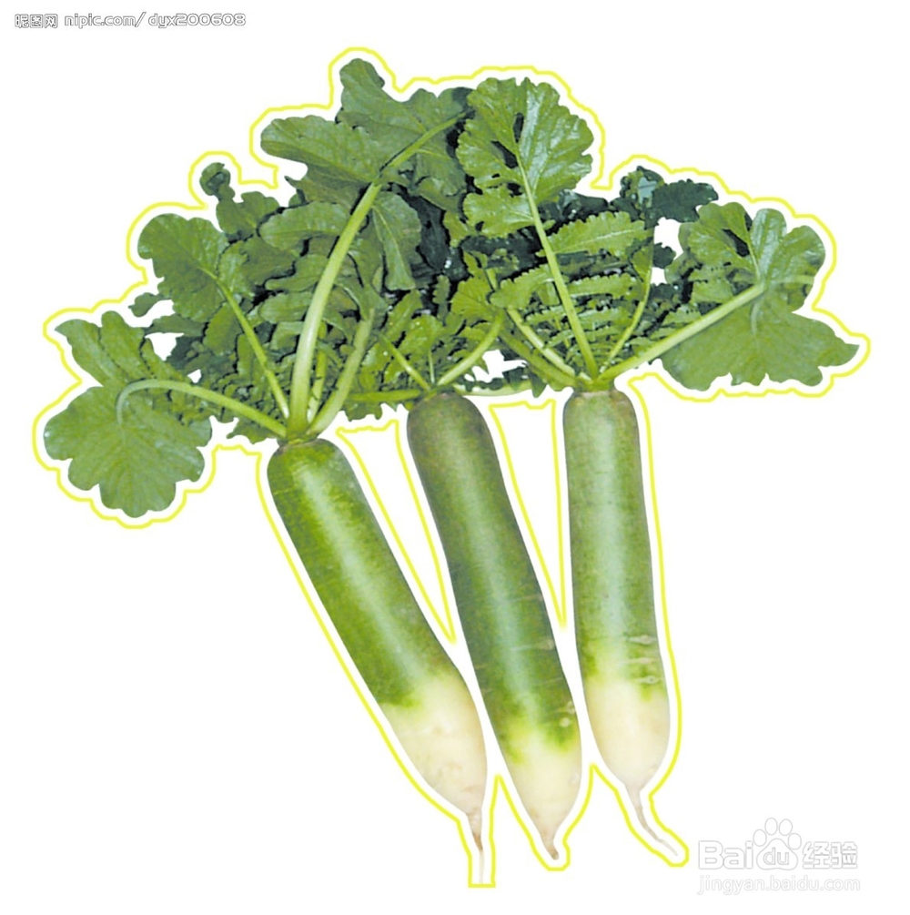 萝卜的营养价值分析