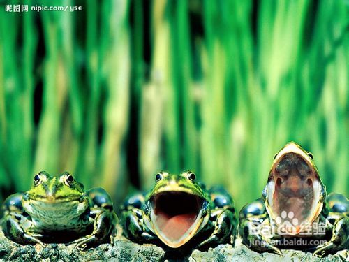 如何练习颤音？