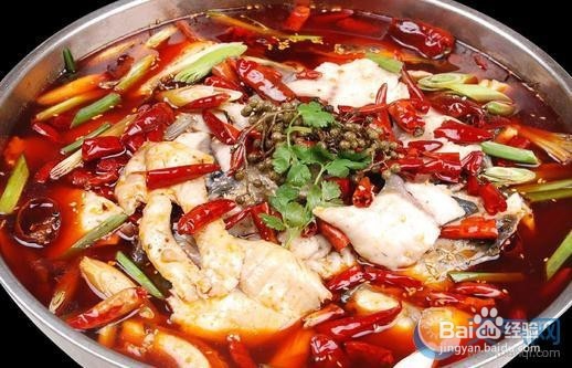 被狗狗咬伤怎么处理才能预防罹患狂犬病