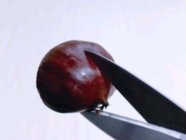 #2018年我学会的一道菜#自制糖烤板栗