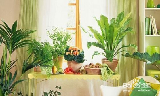 打造绿色家居生活需要做到几步