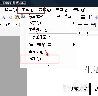 Word工作环境设置技巧：[6]