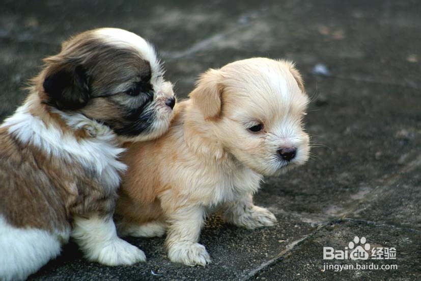 百度魔图如何美化图片：[1]特效篇