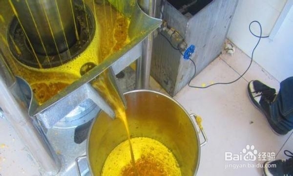 大豆榨油机炸出的现榨大豆油都有哪些特点？