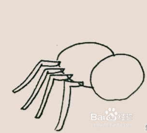 手绘简笔画之蜘蛛的画法