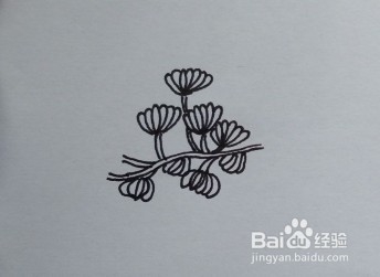 植物的线描画:花卉