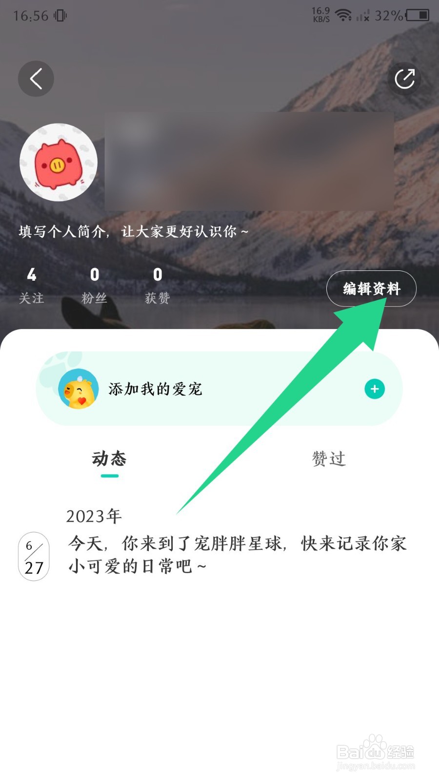 宠胖胖怎么更改昵称