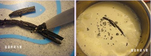 冰激淋玩奢侈--枫糖浆冰激淋