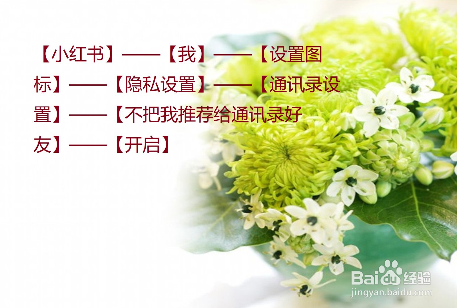 小红书怎么设置不把我推荐给通讯录好友？