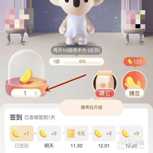 考拉海购的考拉豆明细在哪才能查看