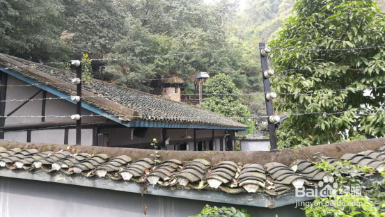 重庆三日游攻略,请不要错过舌尖上的重庆