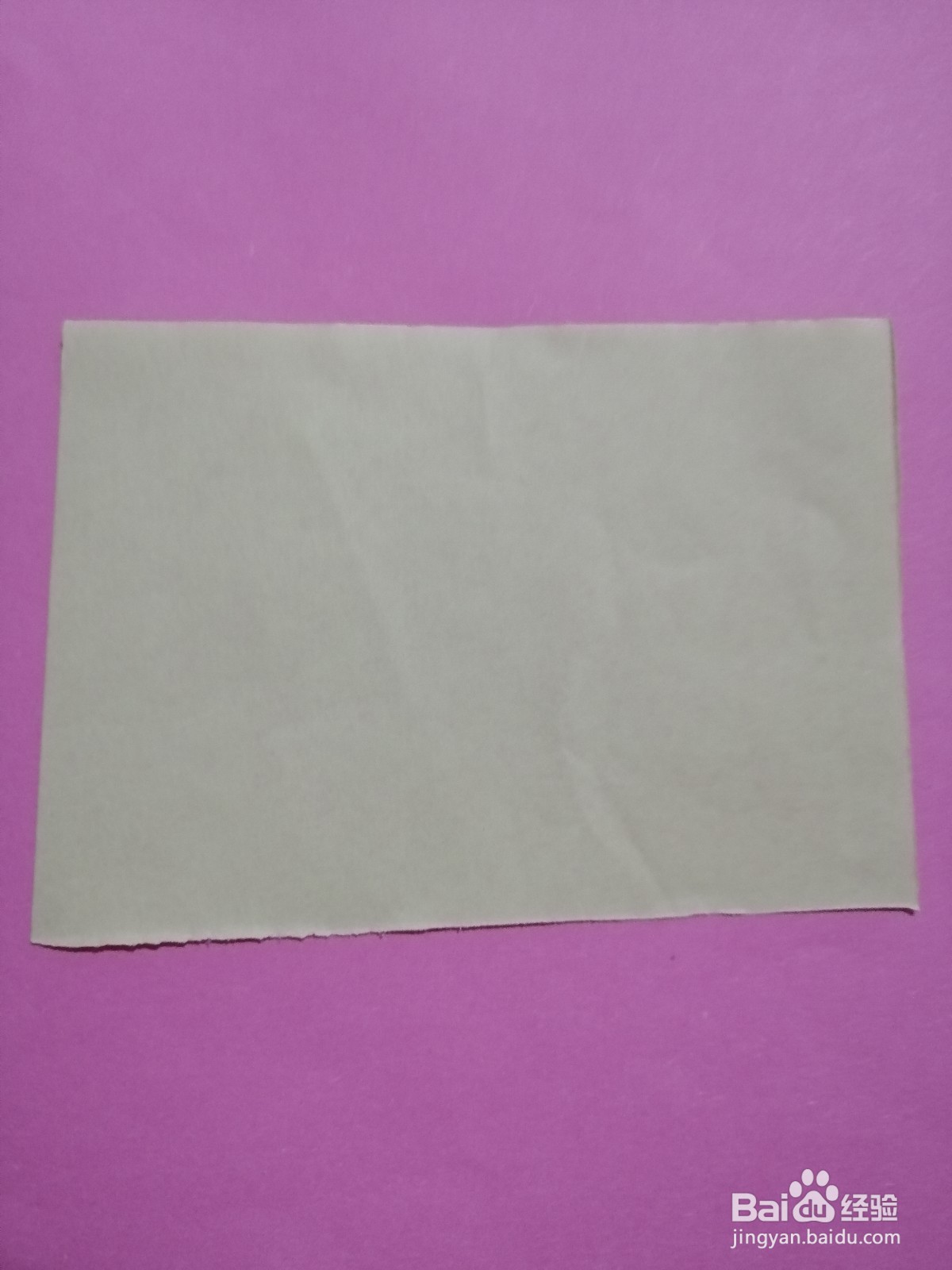 简单的龙虾怎么剪