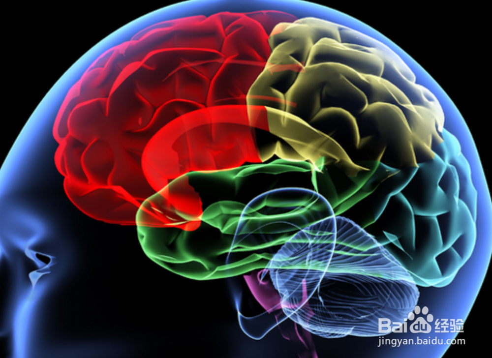 保健从合理使用大脑说起