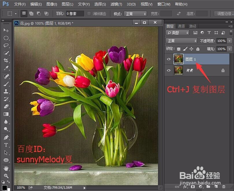 怎么把照片变成水彩画