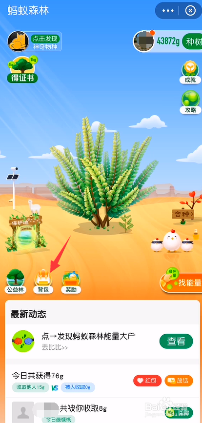 蚂蚁森林怎么更换树的皮肤