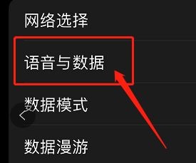 苹果12怎么设置4g网络?