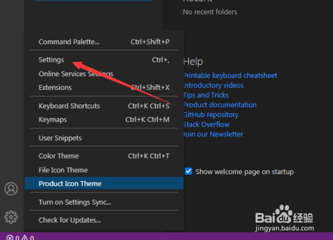VSCode怎么关闭自定义图示符